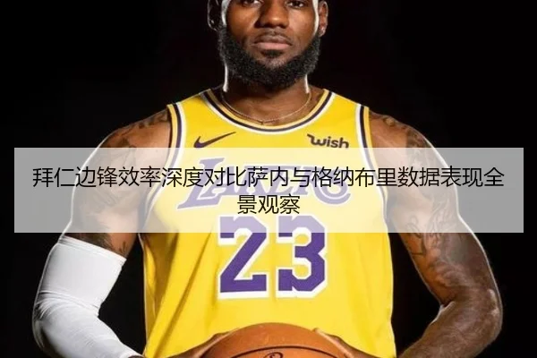 拜仁边锋效率深度对比萨内与格纳布里数据表现全景观察