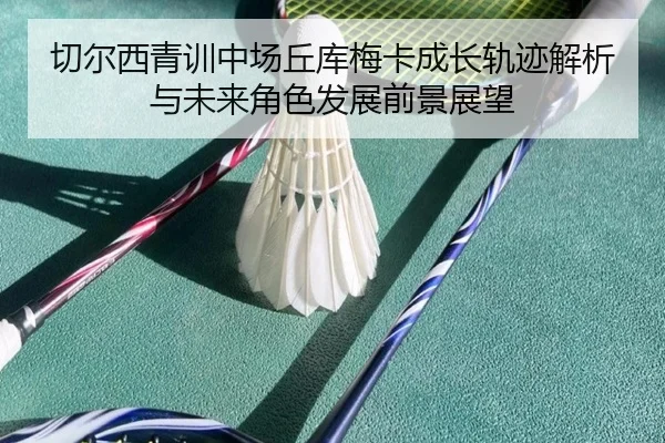 切尔西青训中场丘库梅卡成长轨迹解析与未来角色发展前景展望